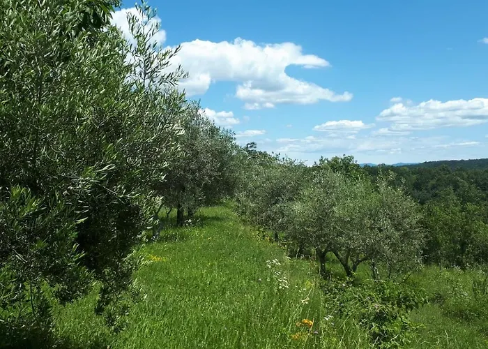 Privat bolig Rosa Buje