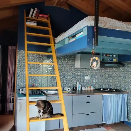 Apartment Rosa Istria