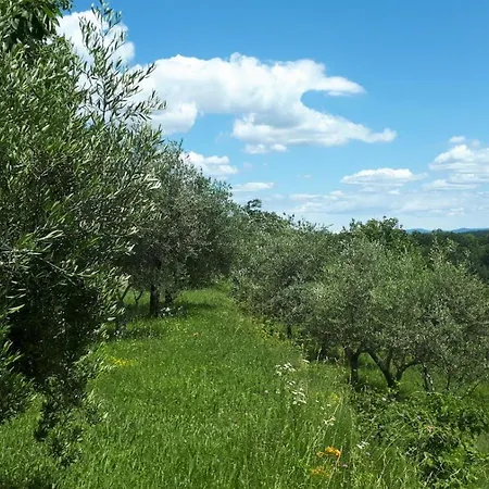 Ubytování v soukromí Rosa Buje