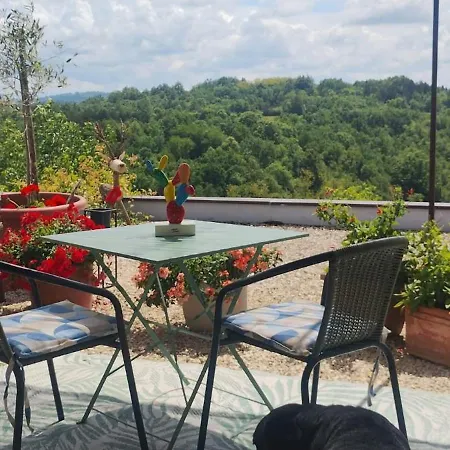 Rosa Ostanak kod kuće
