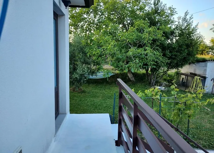 Rosa Homestay *